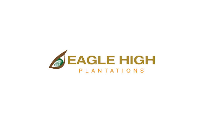 Lowongan Kerja PT Eagle High Plantations Tbk