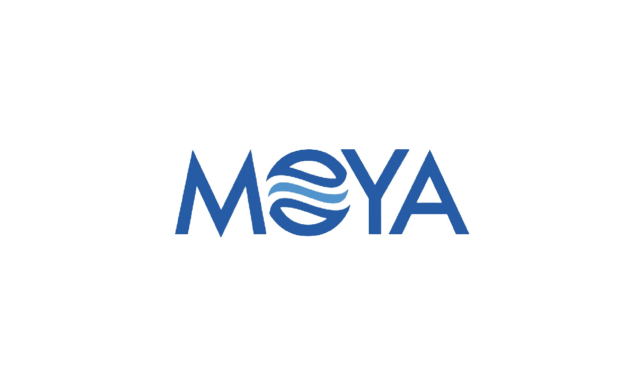 Lowongan Kerja PT MOYA Indonesia